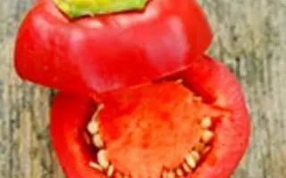 Ontara / Онтара