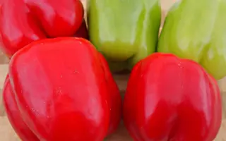 Priscila / Прісціла