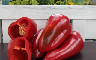 Red Ferrari / Ред Феррарі