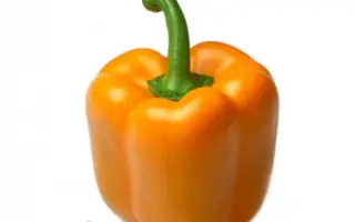 Sympathy / Сімпаті