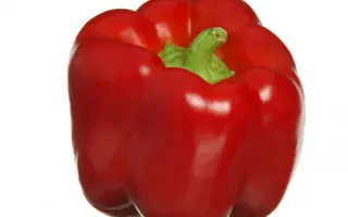 Scrivia / Скрівіа