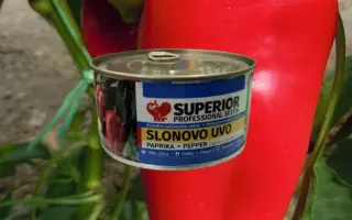 Slonovo uvo / Слонове вухо