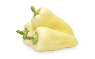 Sonett / Сонетт