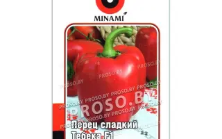 Tebeka / Тебека