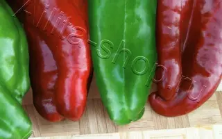 Fatima / Фатіма