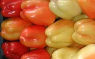 Flamingo F1 / Фламінго F1