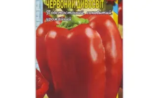 Chervonyj dyvosvyt / Червоний дивосвіт