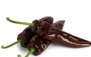 Chocolony / Чоколоні