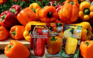 Воеводжанка / Воєводжанка