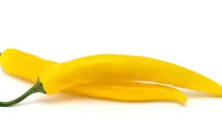 Gialte / Джіалте