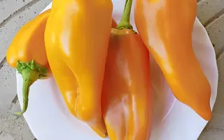 Karpatia F1 / Карпатія F1