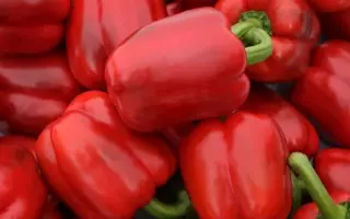 Jupiter F1 / Юпітер F1