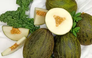 Alcarez / Алкарез