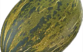 Almaden / Алмаден