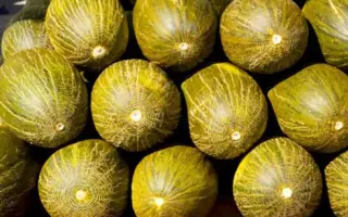 Arenales / Ареналес