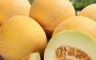 Берегиня