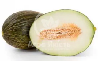 Bravura / Бравура