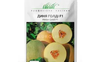 Goldi TZ F1 / Голді ТЗ F1