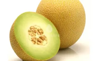 Jucar / Джукар