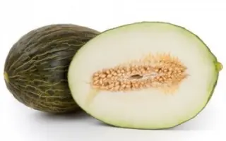 Dolsura / Долсура