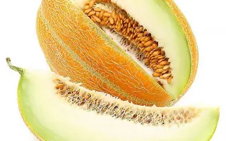 ECHARKIA / ЕЧАРКІА