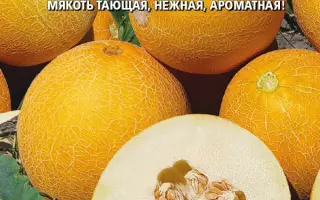 Злата