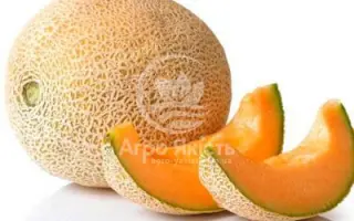 Karameza / Карамеза