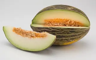 Kumara / Кумара