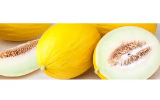 MAILLOT / МАІЛЛОТ