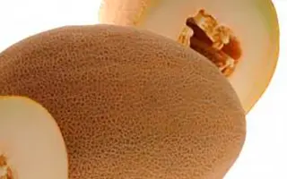 Merlin Giant / Мерлін Гігант