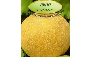 Spokusa F1 / Спокуса F1