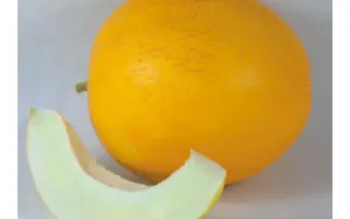 Shinari / Шинарі