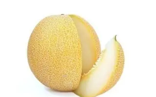 Gladial / Гладіал