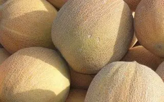 Гопринка (Тавричанка) / Гопрінка