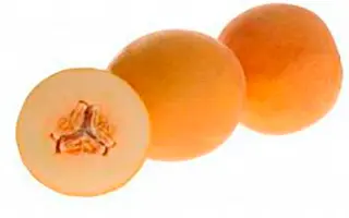 Gourmet F1 / Гурмет F1