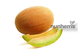 Delano / Делано