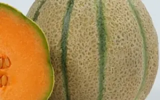 Eminenza / Еміненза