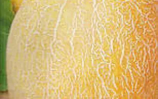 Ингулка / Інгулка