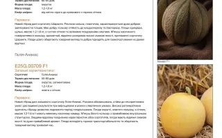 Kenavo / Кенаво