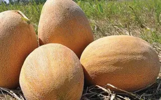 Catherine / Кетрін