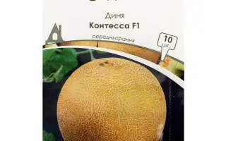 Constanta F1 / Константа F1