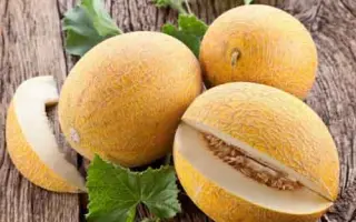 Credo F1 / Кредо F1