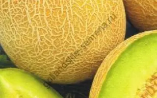 Полидор II F1