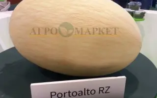 Portoalto / Портоальто