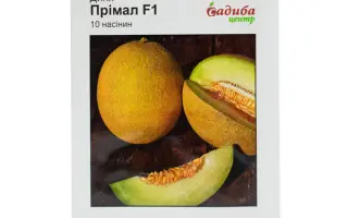 Primal / Прімал