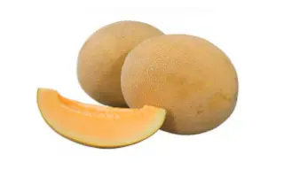 Robust F1 / Робаст F1