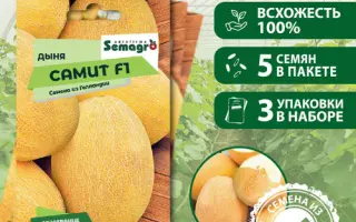 Samit F1 / Саміт F1