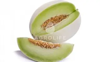 Sanvicente / Санвісенте