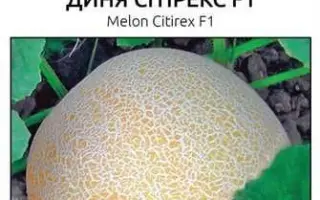 Citirex F1 / Сітірекс F1