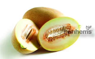 Sokkar / Соккар